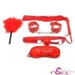 BDSM Sex Kit Bracelet+Whip+Goggles+Feather+Mouth Ball Gag-adultsextoy.in