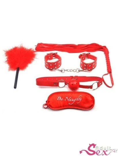 BDSM Sex Kit Bracelet+Whip+Goggles+Feather+Mouth Ball Gag-adultsextoy.in