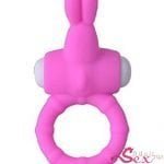 Rabbit Vibrating Penis Ring Lolly - adultsextoy.in