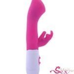 10 Function Dual Rabbit Vibrator - adultsextoy.in