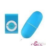 Remote Control Vibrating Egg - adultsextoy.in