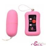 Remote Control Powerfull Vibrating Egg - adultsextoy.in