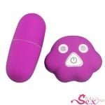 20 Speeds Remote Control Bullet Vibrator- adultsextoy.in