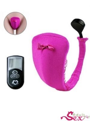 Vibrating Panties 10 speed Wireless Remote Control-adultsextoy.in