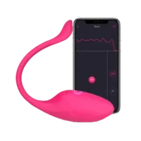 App Controlled Vibrator