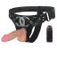 Vibrating Female Lesbian Strap On-adultsextoy.in