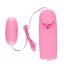Bullet Vibrator 2 in 1 - adultsextoy.in